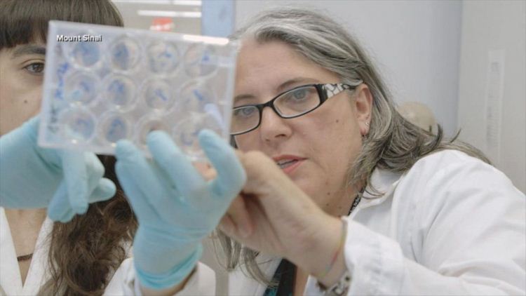 200318 abcnl prime pilgrim2 hpMain 16x9 992