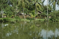 Ng&ocirc; Văn Lệ. L&agrave;ng v&agrave; quan hệ d&ograve;ng họ của người Việt Nam bộ