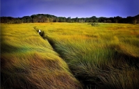 Nguyễn Văn Kha. T&iacute;nh c&aacute;ch con người Nam bộ