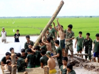 Phạm Ngọc Đỉnh. Một số vấn đề x&atilde; hội đặt ra trong qu&aacute; tr&igrave;nh chuyển dịch cơ cấu kinh tế v&ugrave;ng Đồng bằng s&ocirc;ng Cửu Long