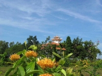 Nguyễn Hữu Hiếu. V&ugrave;ng đất Tầm Phong Long