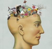 Ng&ocirc; Hương Giang. Hướng tới một nền nhận thức to&agrave;n diện về con người trong bối cảnh to&agrave;n cầu ho&aacute;