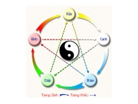 Y học d&acirc;n tộc: học thuyết ngũ h&agrave;nh