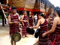 L&acirc;m Nh&acirc;n. Vấn đề giao lưu v&agrave; biến đổi văn ho&aacute; của người Chơro ở Đồng Nai trong giai đoạn hiện nay