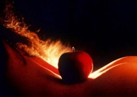 Triển l&atilde;m ảnh nude bị ho&atilde;n lần thứ hai