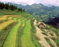 Bộ ảnh: Việt Nam qu&ecirc; hương t&ocirc;i