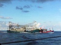 Hồ Sĩ Qu&yacute;. Xung đột biển đ&ocirc;ng qua nh&igrave;n nhận của một số học giả v&agrave; ch&iacute;nh kh&aacute;ch Mỹ v&agrave; Phương T&acirc;y